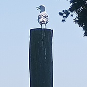 Photo submitted by Kathy