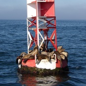 Photo submitted by Alexandria