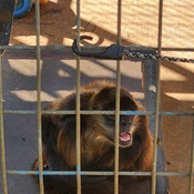 Photo submitted by Bradford