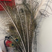 Photo submitted by Karla