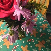 Photo submitted by Eva