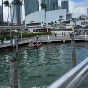 Photo submitted by Rithner