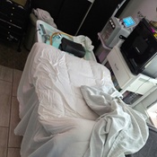 Photo submitted by Shannon