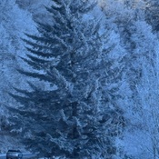 Photo submitted by Nurse