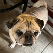 Photo submitted by Lorraine