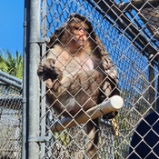 Photo submitted by Bradford