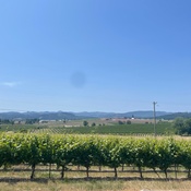 Photo submitted by Rachael