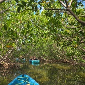 Photo submitted by Crystal