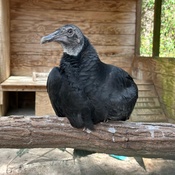 Photo submitted by Oanh