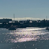 Photo submitted by Cathy