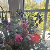 Photo submitted by Kate