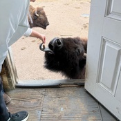 Photo submitted by Cecilia