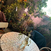 Photo submitted by allison