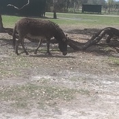 Photo submitted by Florence