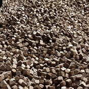 Photo submitted by Sofia