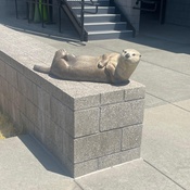 Photo submitted by Lydia