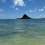 Photo submitted by faye