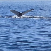 Photo submitted by Emanuel