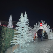 Photo submitted by Christina