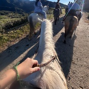 Photo submitted by Amayrani