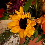 Photo submitted by LS