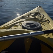 Photo submitted by Linsaret