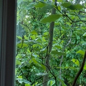 Photo submitted by Guest