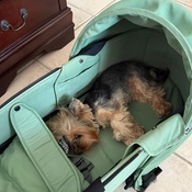 Photo submitted by Guest