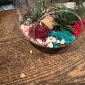 Photo submitted by K