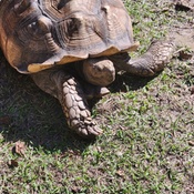 Photo submitted by Bradford