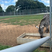 Photo submitted by TeAira