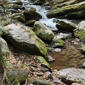 Photo submitted by Kathy