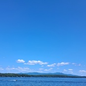 Photo submitted by Guest