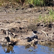 Photo submitted by Alexis