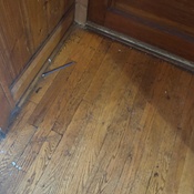 Photo submitted by Stephanie