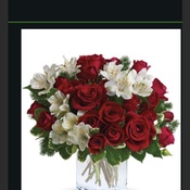 Photo submitted by Marjan