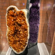 Photo submitted by Michelle