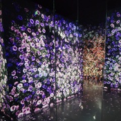 Photo submitted by Tira