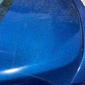 Photo submitted by Mariah