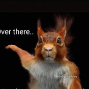 Photo submitted by Bryan