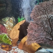 Photo submitted by Ven