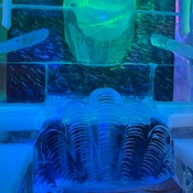 Photo submitted by Tiffiny