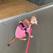 Photo submitted by Alyssa