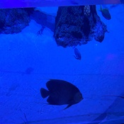 Photo submitted by yolanda