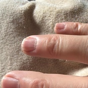 Photo submitted by michael