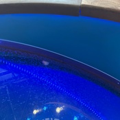 Photo submitted by Jessica