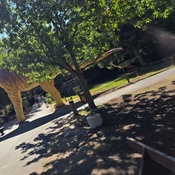 Photo submitted by David