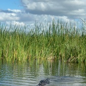 Photo submitted by Zulika