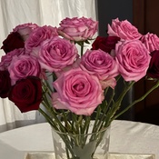 Photo submitted by nina