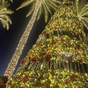 Photo submitted by Carla